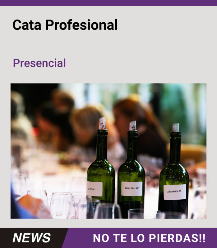 CATA PROFESIONAL