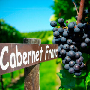 EAV WINE TASTING: CABERNET SAUVIGNON VS. CABERNET FRANC