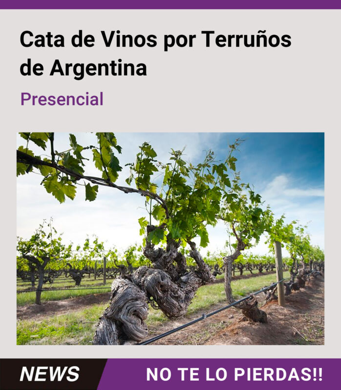 Cata de Vinos por Terruños de Argentina